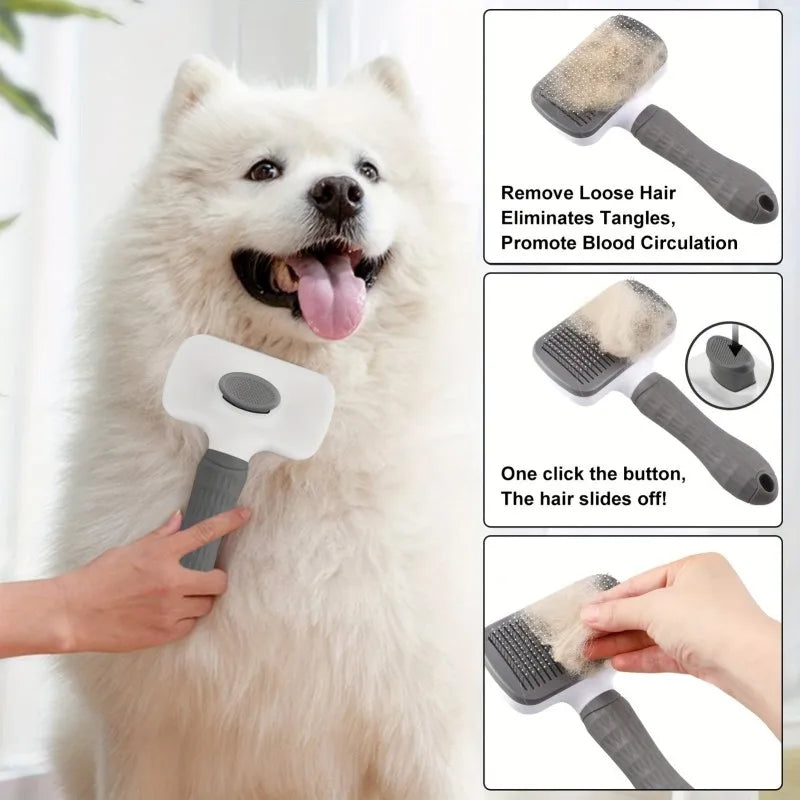 Portable Dog Water Bottle with Foldable Silicone Bowl