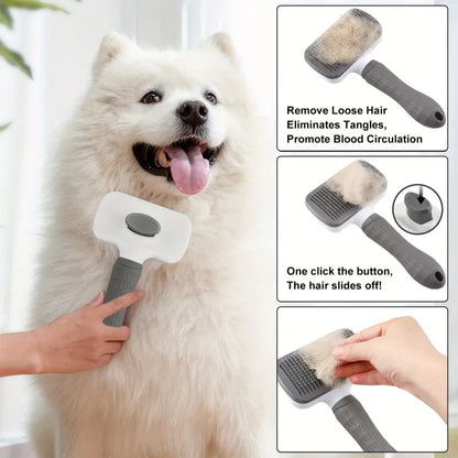 Portable Dog Water Bottle with Foldable Silicone Bowl